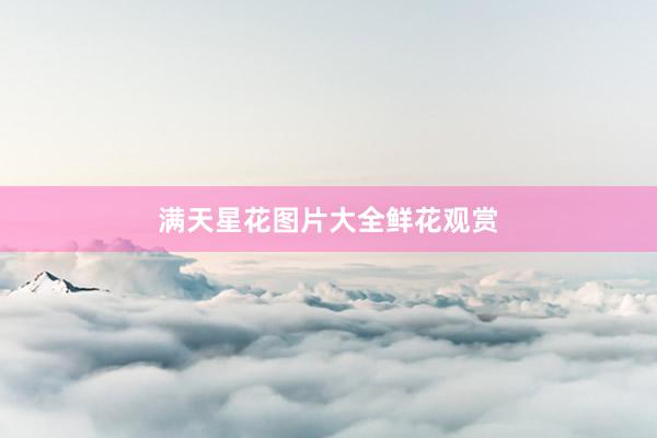 满天星花图片大全鲜花观赏