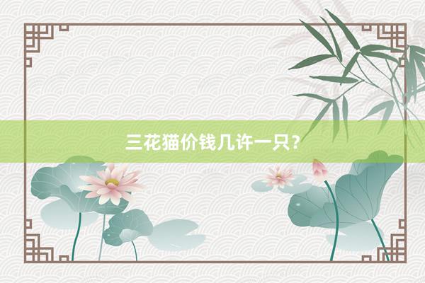 三花猫价钱几许一只？